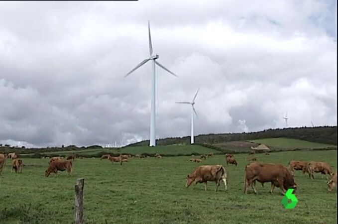 381 molinos de viento se han instalado en Muras