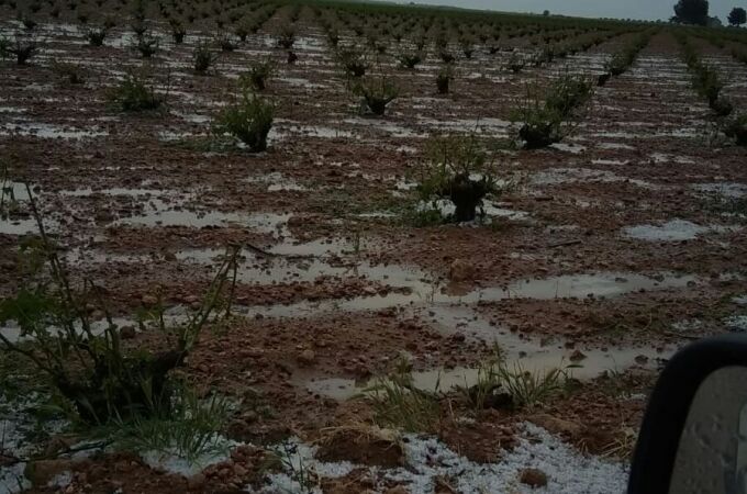 El granizo ha provocado importantes daños en el viñedo de Socuéllamos