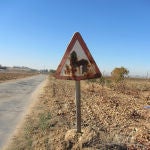 Uno de cada 13 kilómetros de las carreteras españolas está en mal estado y arreglarlo costaría unos 7.000 millones de euros