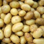 Patatas recolectadas en la Comunidad