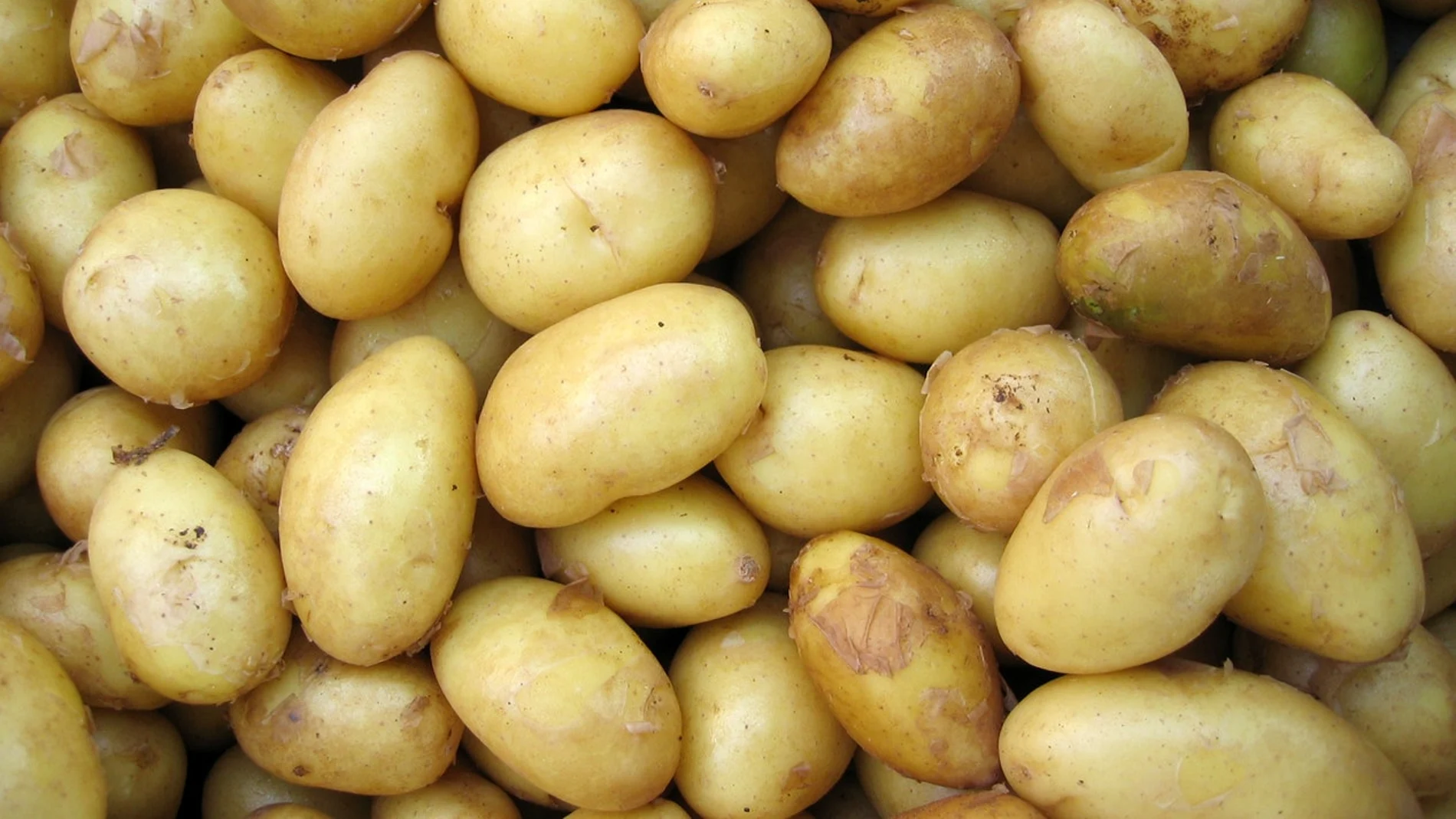patatas