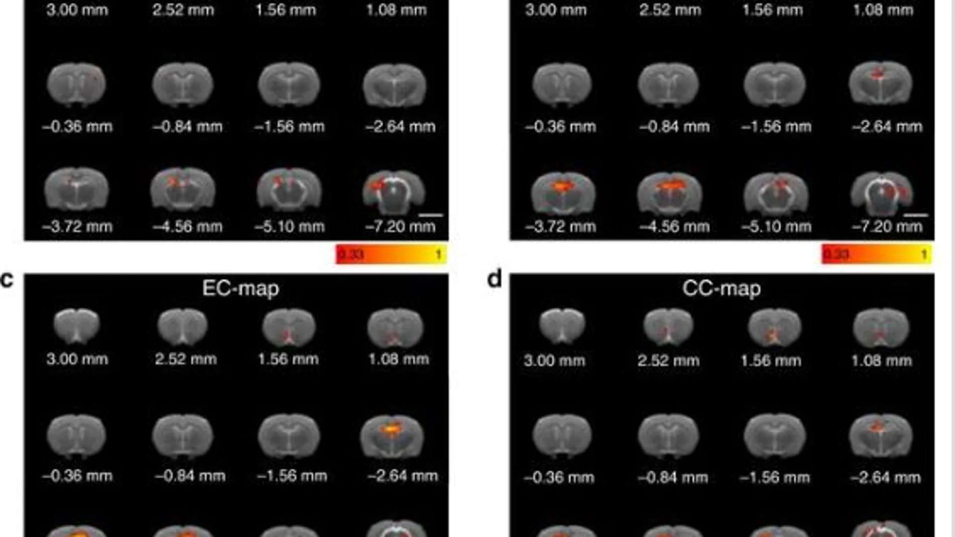 Algunas de las pruebas realizadas en los cerebros de los ratones / Nature Communications