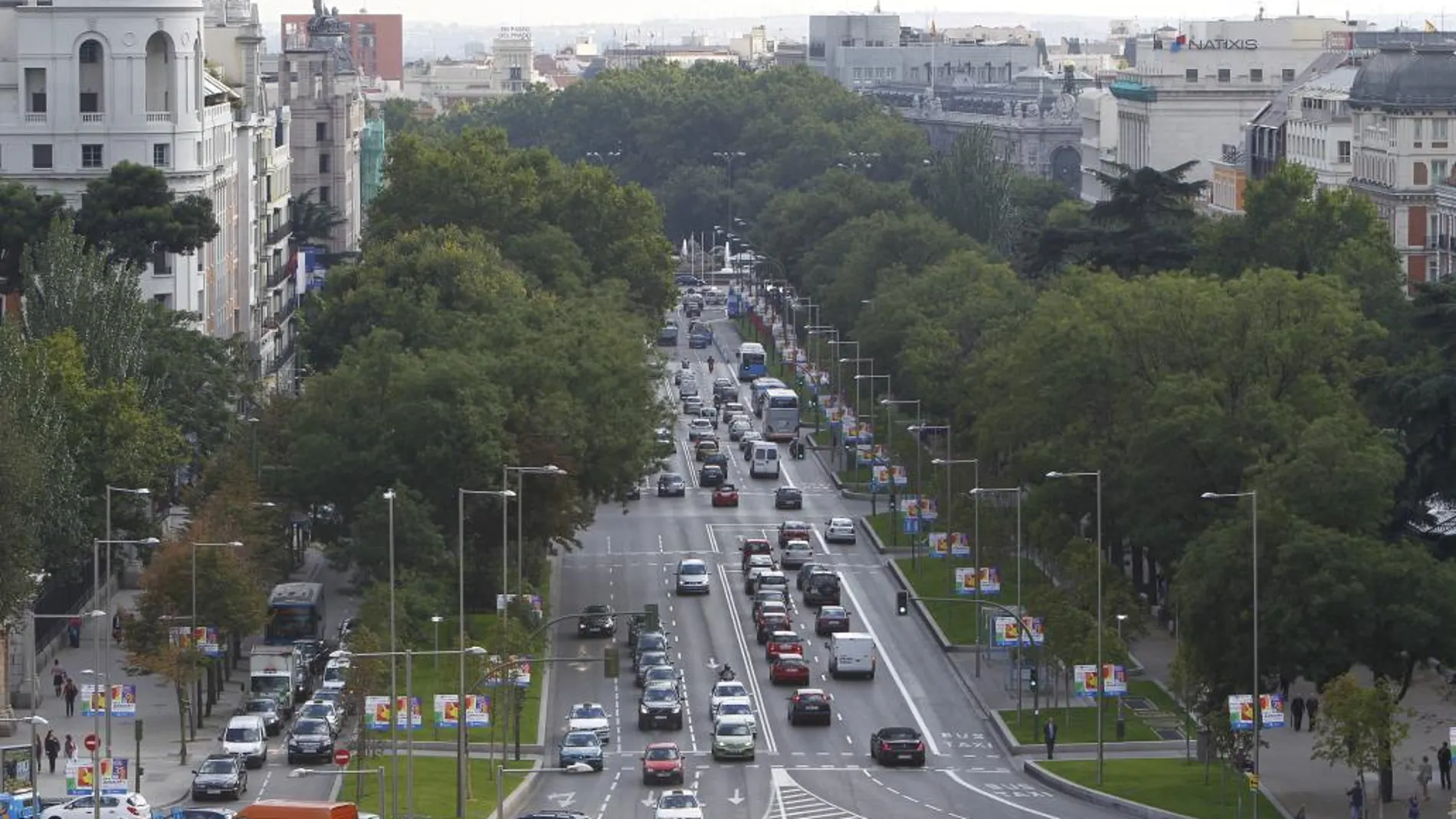 El estudio ha medido los efectos sobre la salud de vivir en calles arboladas. En la imagen, el paseo de la Castellana de Madrid