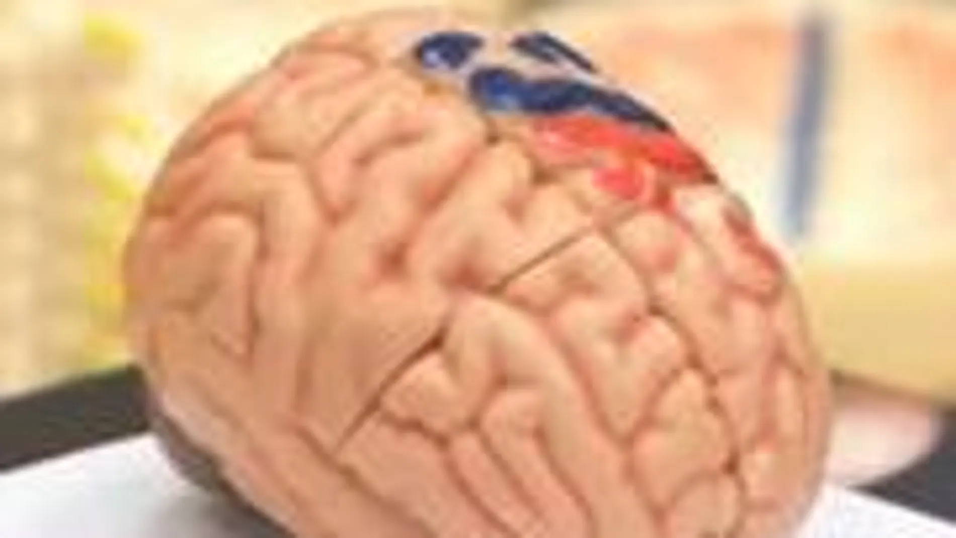 Un neuronavegador virtual para la investigación del cerebro