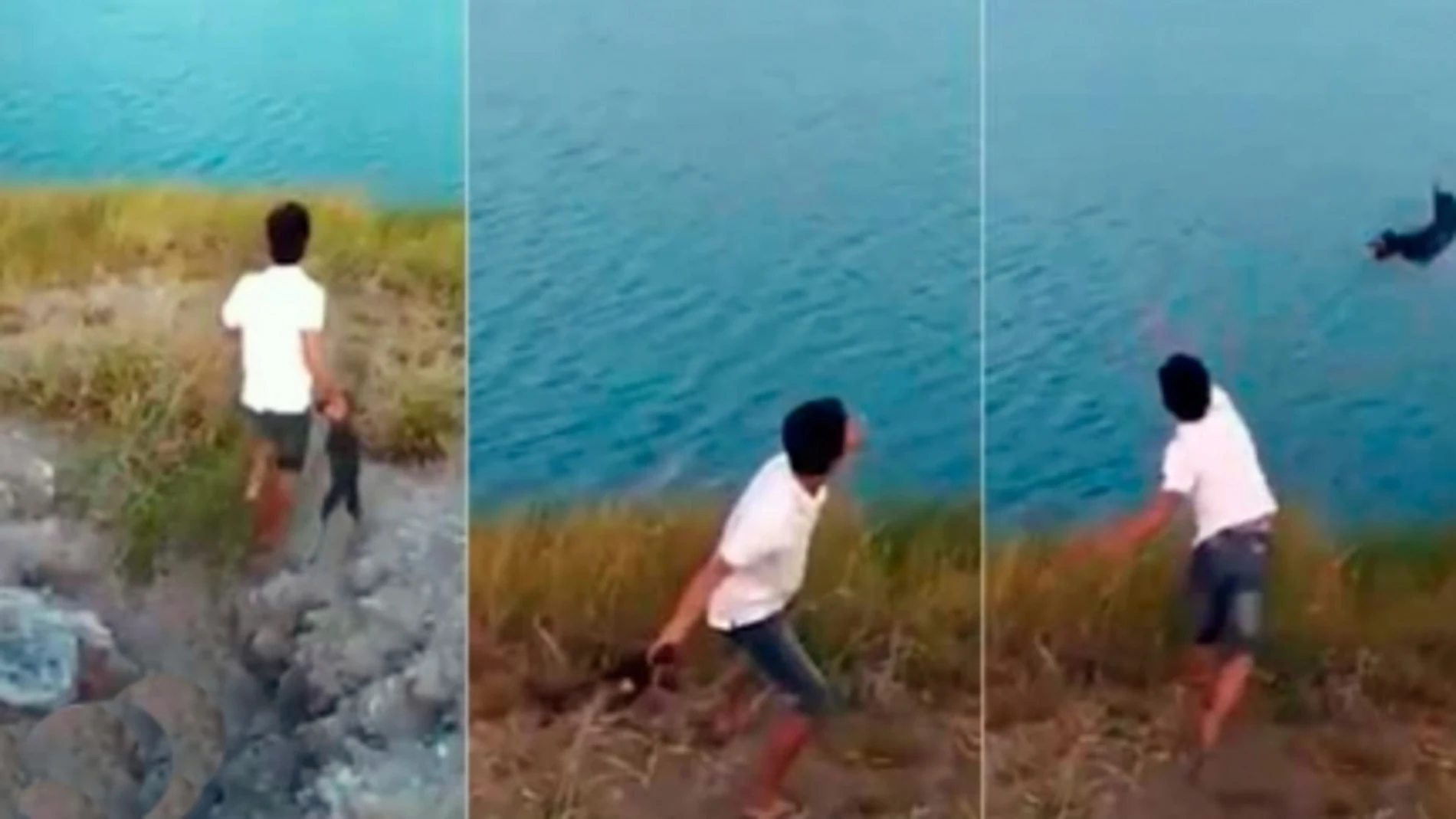 El horrible momento en el que un hombre arroja un cachorro a un lago lleno de cocodrilos en Australia