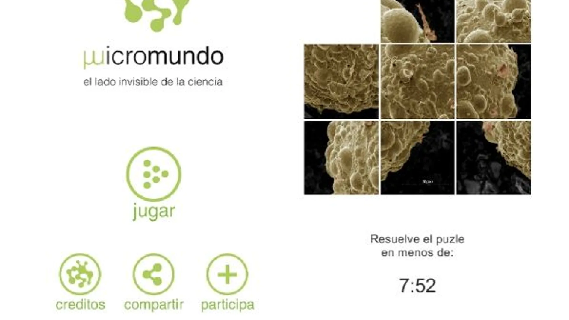 Micromundo, una app a vista de microscopio