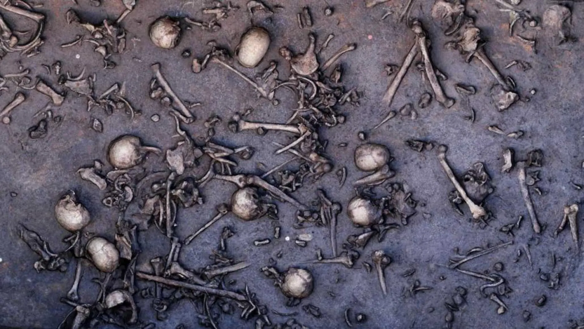 Hallan restos de la mayor batalla de la Edad del Bronce