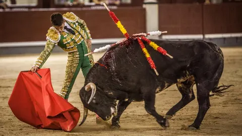 Pablo Mora ejecutando un derechazo en la final del certamen de novilladas nocturnas de Las Ventas / Plaza 1