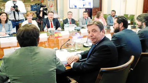 El ministro de Agricultura, Pesca y Alimentación, Luis Planas, durante la reunión del Consejo Consultivo de Política Agrícola, ayer en Madrid / Efe