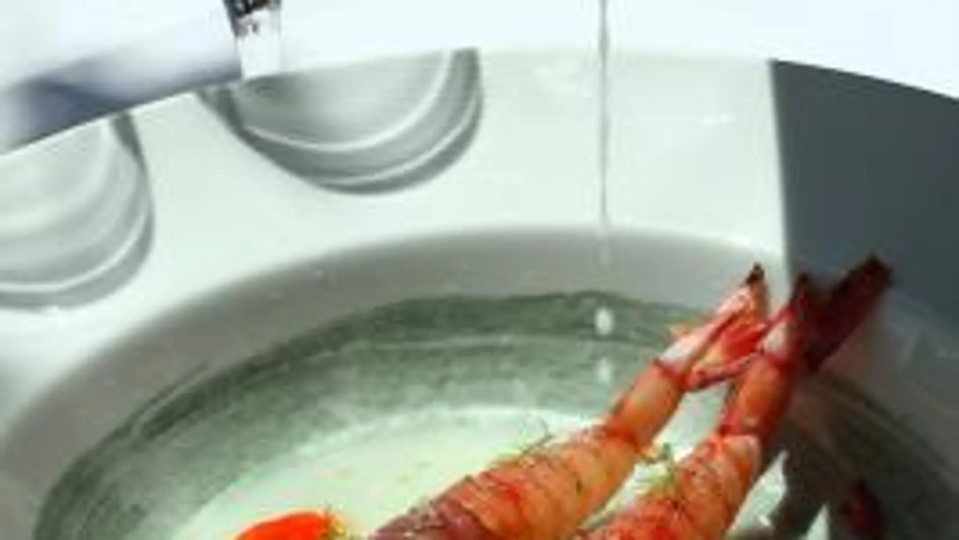 La gamba de Pollença es uno de los platos estrellas del restaurante del Barceló Formentor, en Mallorca