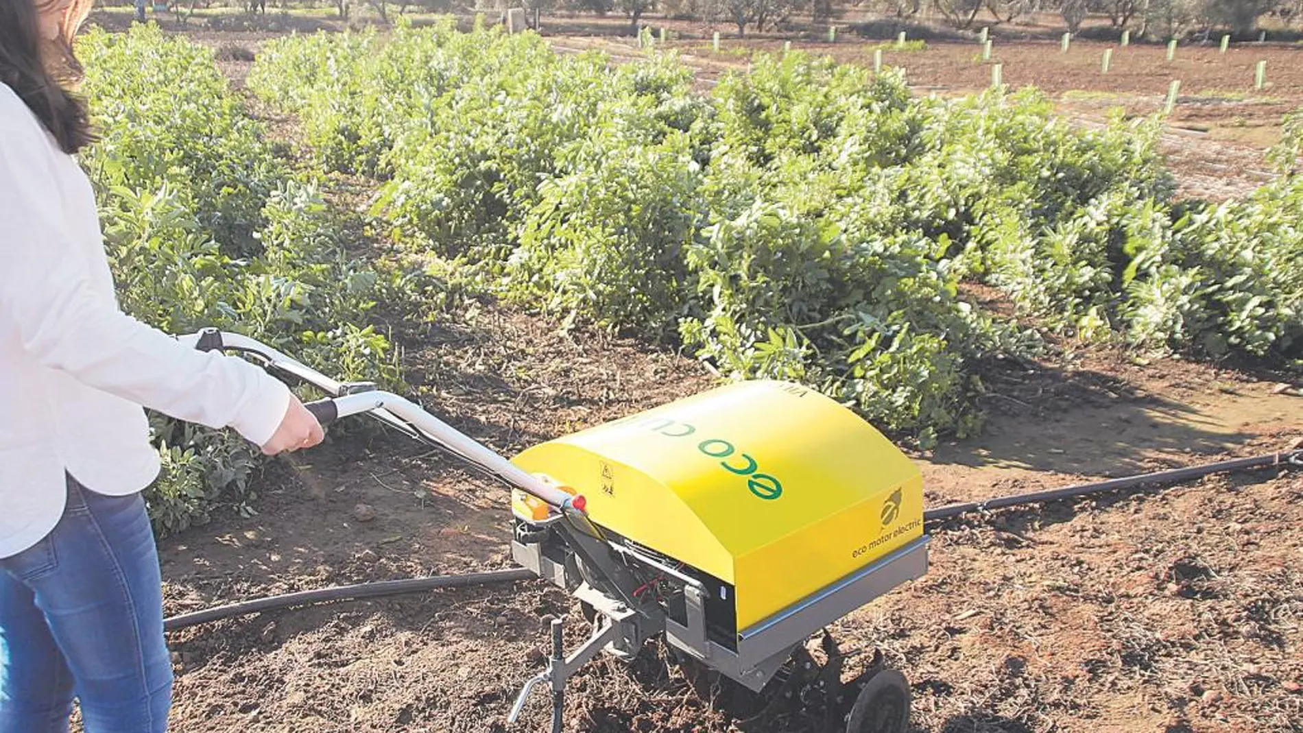 Sólo motores sostenibles por reglamento interno de la empresa