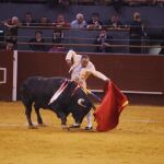 El Pana toreando en la plaza de toros de Vista Alegre en Madrid