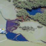 Los valiosos manglares de la costa de Luisiana ya han sido invadidos por la marea negra