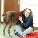 «Compludog» permite a los alumnos de las Facultades de Políticas, Enfermería y Educación de la Complutense participar en sesiones asistidas por perros