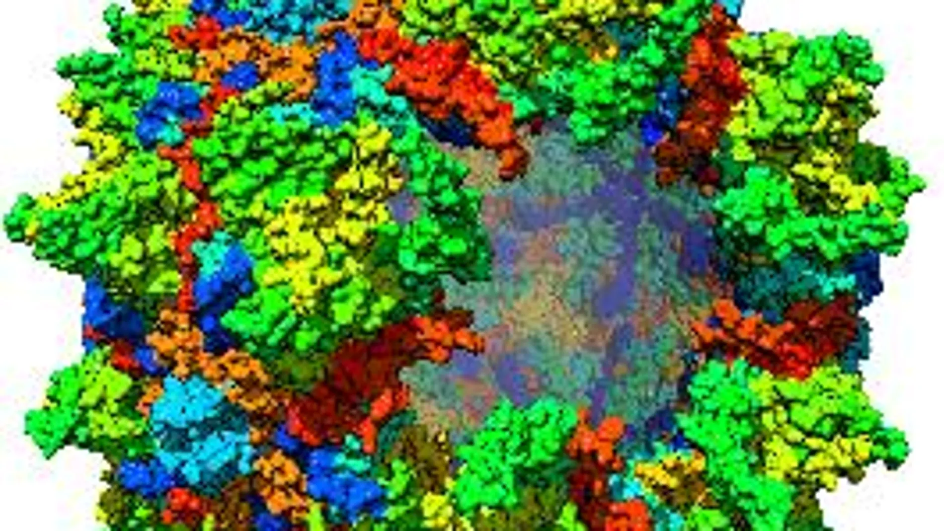 Una partícula de virus adenoasociados (AAV)