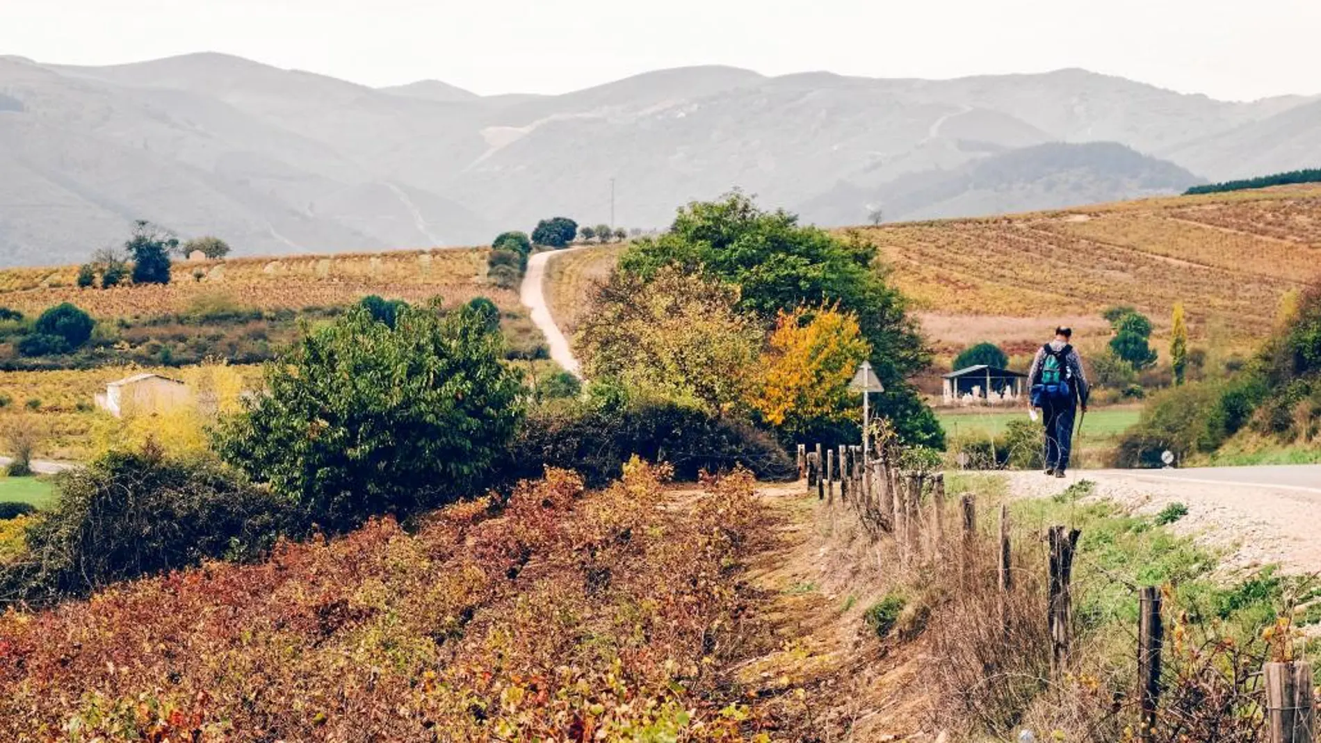 Imágenes de la Ruta del Bierzo en donde se pude apreciar la belleza del paraje natural, en donde los caminos se mezclan con los valles, las zonas de vid y un rico patrimonio artístico