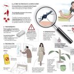 Zika, una amenaza para las gestantes