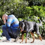 La normativa en vigor considera una infracción grave la conducta de los dueños de mascotas que no recogen los excrementos.