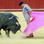 Revolera de El Cid al segundo toro, ayer en la picassiana de Málaga
