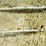 Dos marcas paralelas hechas con un instrumento de piedra en un hueso de un animal del tamaño de una vaca han sido clave para los científicos