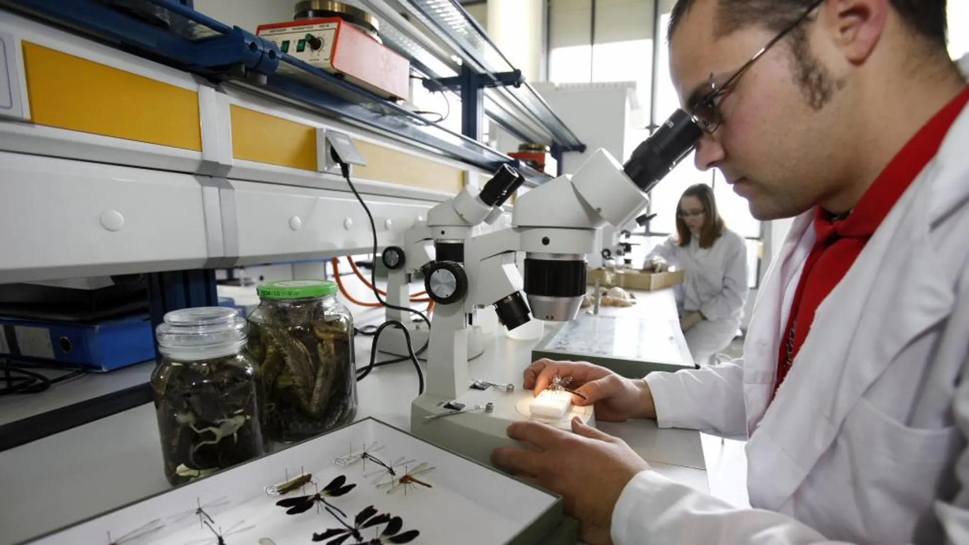 Investigación en la Universidad católica de Ávila