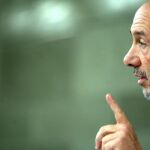 Rubalcaba no ve cercano el final de ETA