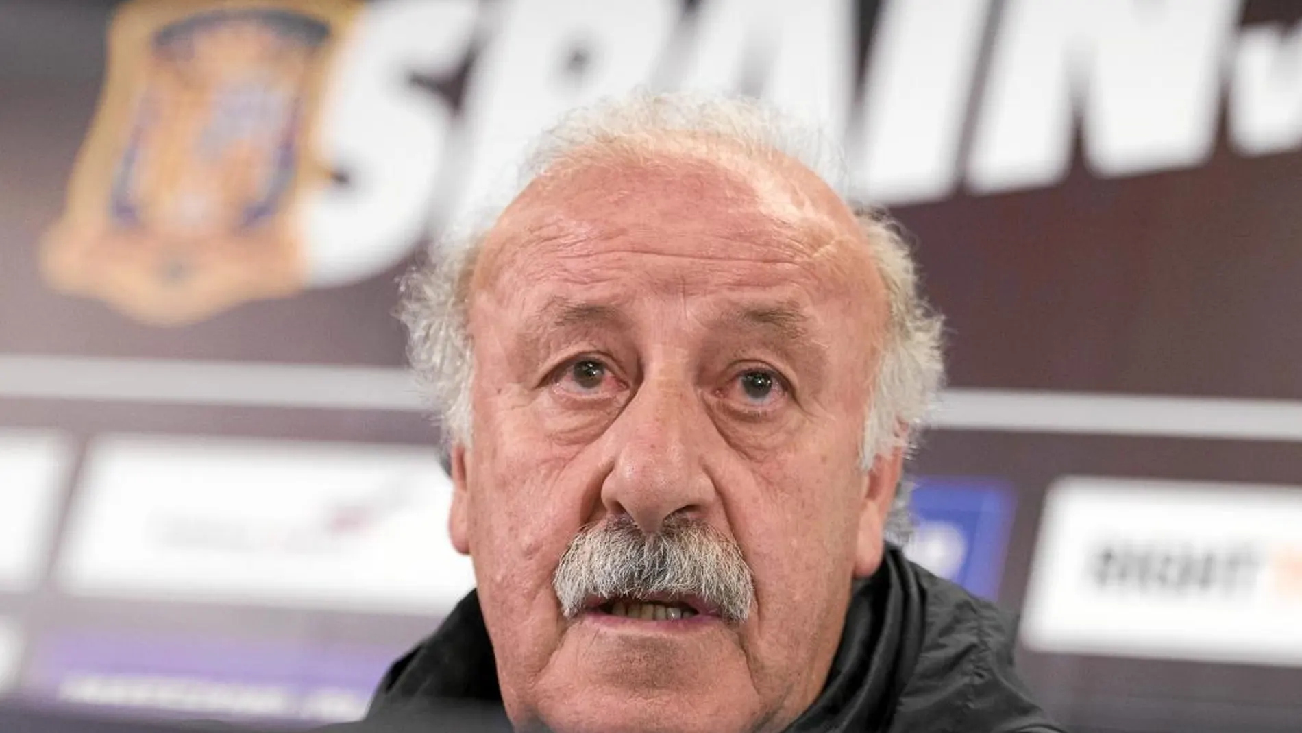 Vicente del Bosque, en el momento de ofrecer la lista definitiva de convocados para la Eurocopa de Francia