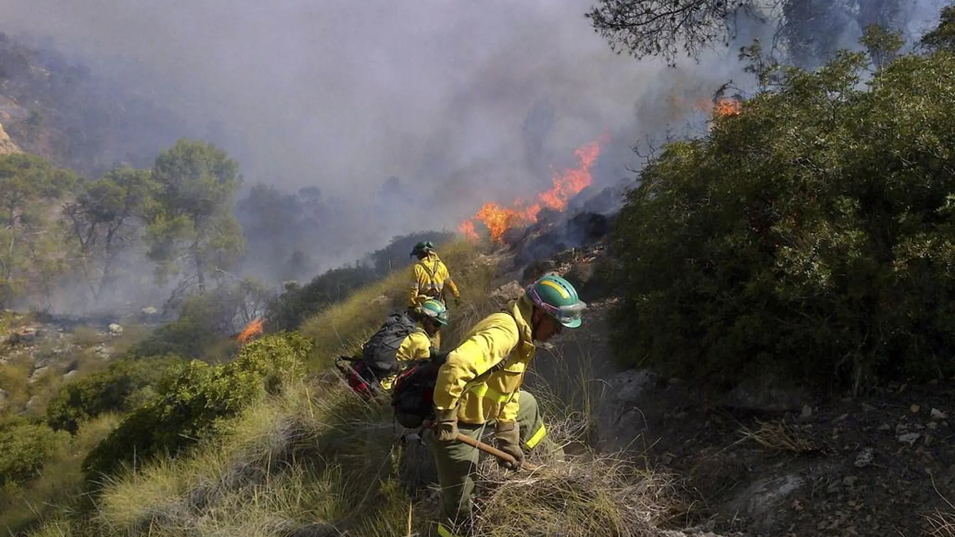 El incendio declarado el pasado domingo en el término municipal de Quesada (Jaén), a unos 25 kilómetros del Parque Natural de Cazorla.