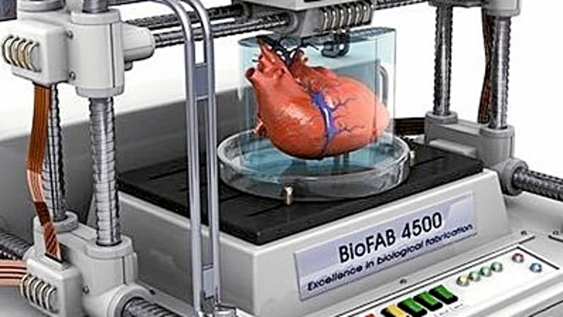 Algunas impresoras 3D fabrican órganos y tejidos con biomateriales