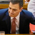 El líder del PSOE, Pedro Sánchez, ayer en su intervención en el Congreso