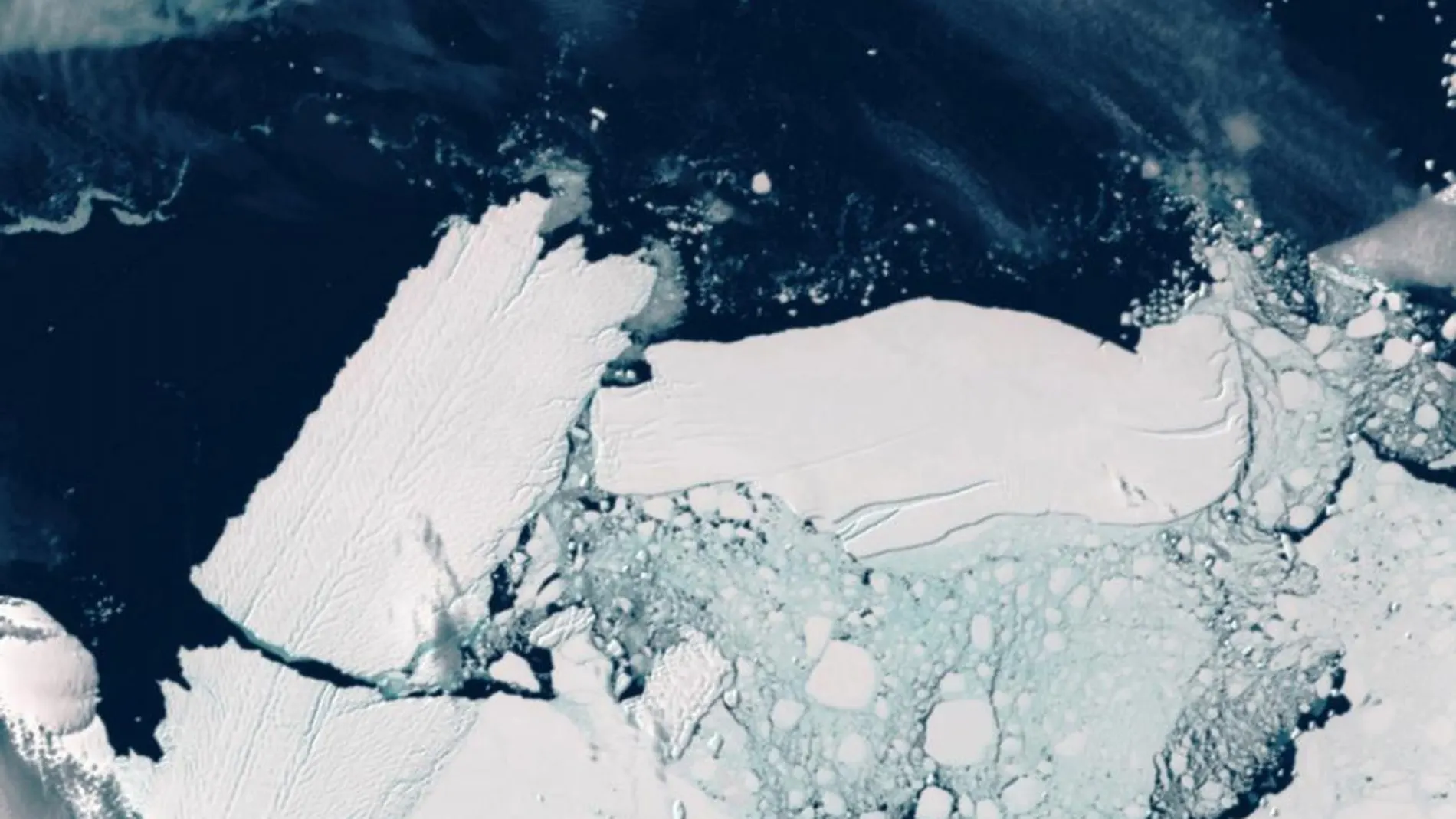 Icebergs en la Antártida