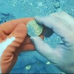 Aquí está una de las espectaculares monedas halladas en el fondo del mar, en perfecto estado de conservación. Una cincuentena son las que hasta ahora han declarado.