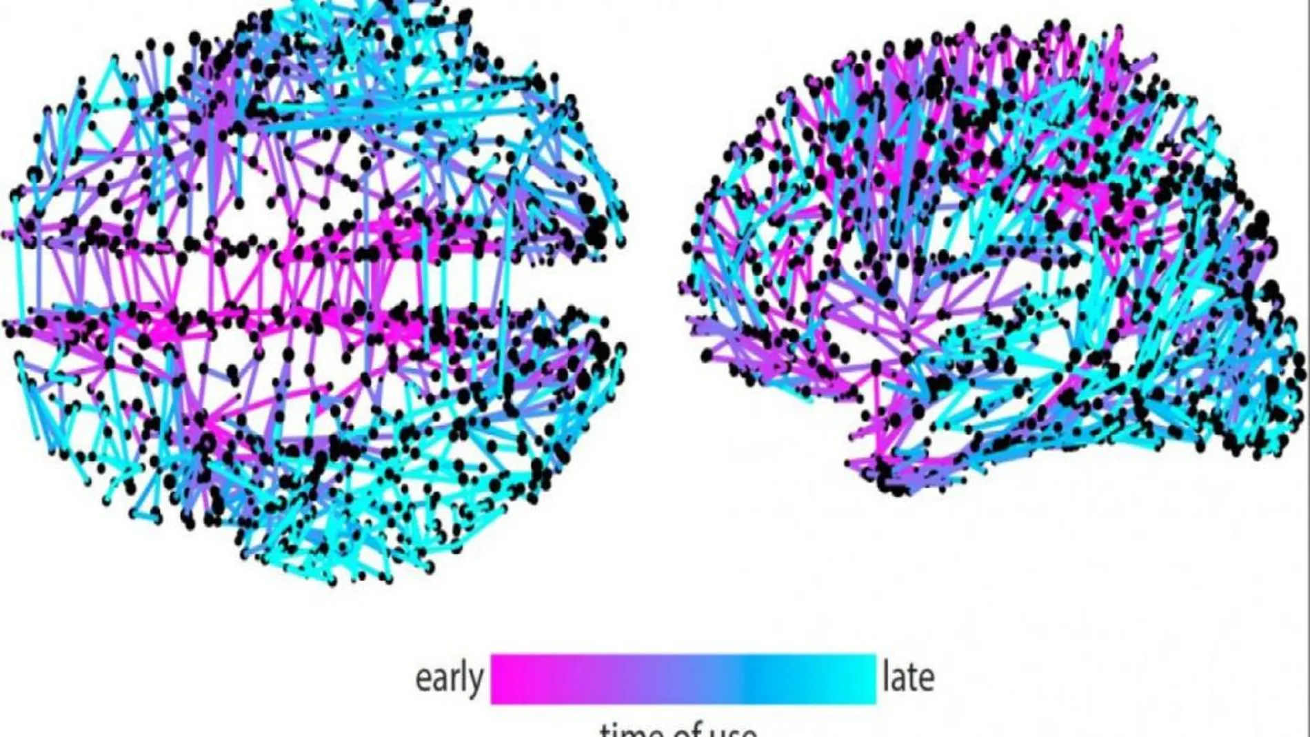 Esta imagen representa los momentos en que diferentes conexiones cerebrales se activan para difundir información. En general, la información parece propagarse rápidamente a partir de un núcleo compacto de vías centrales
