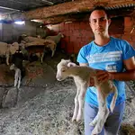  «En una tarde hemos perdido 26 años cuidando ovejas»