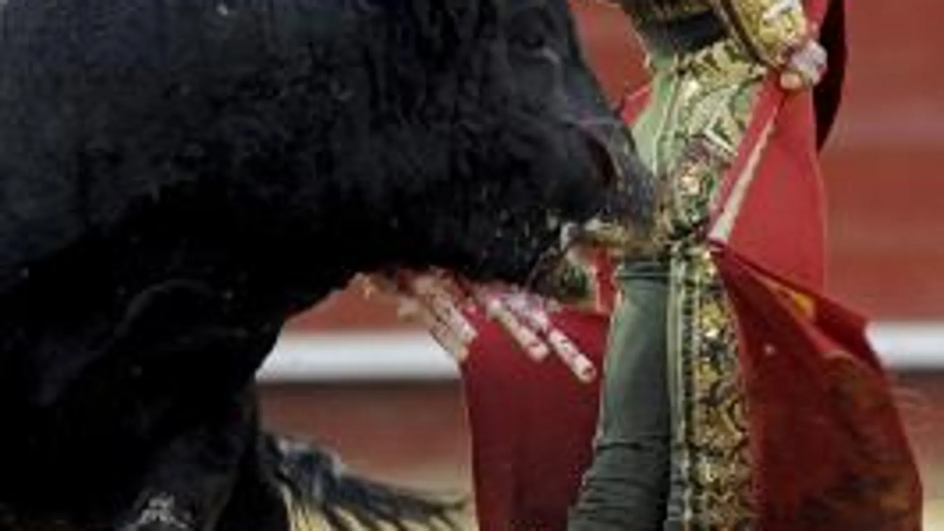 El diestro Sebastián Castella da un pase a su segundo astado, "Inquemable", durante la corrida de toros de la Feria de Fallas
