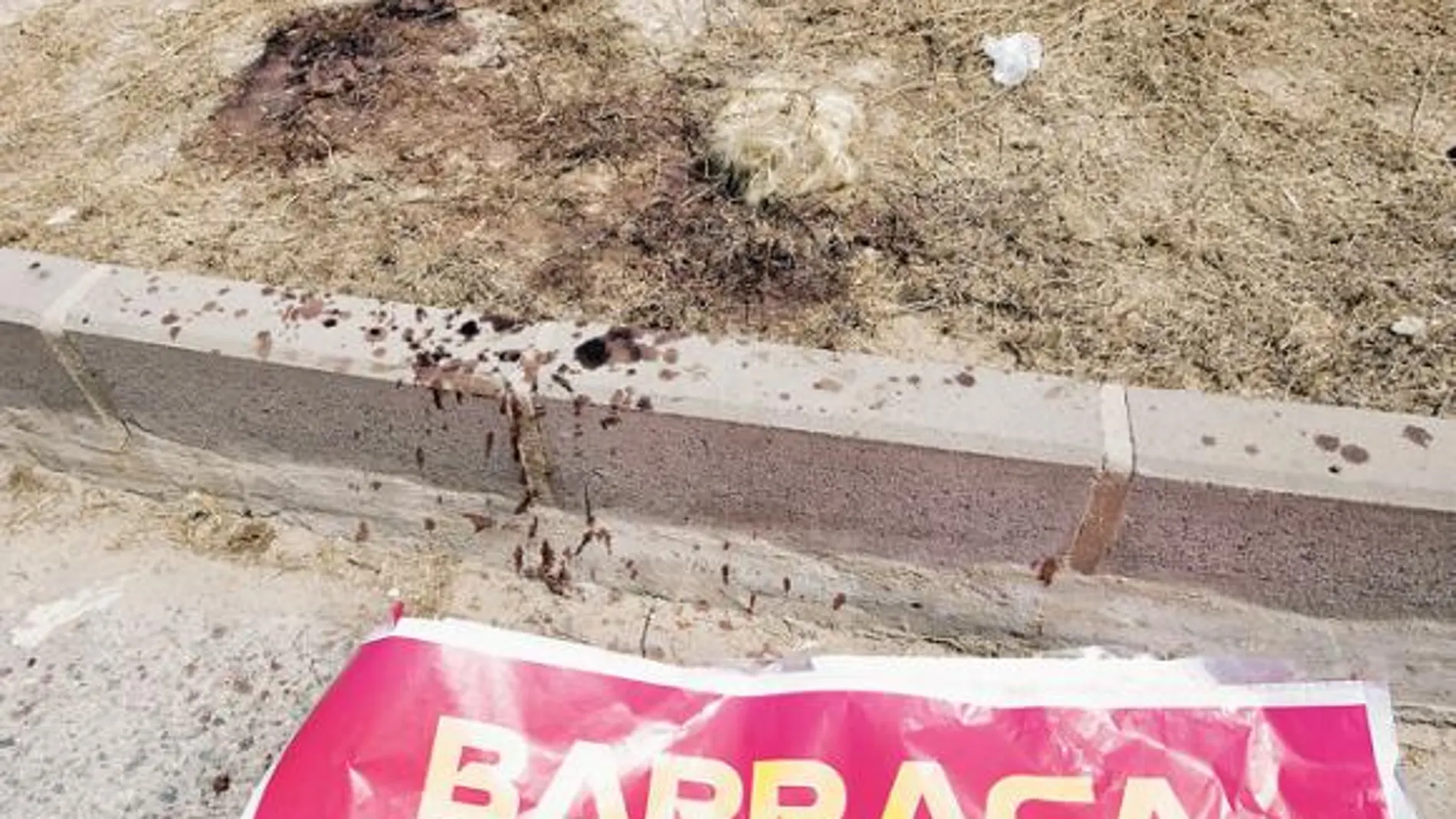 Imagen de restos de sangre de la joven fallecida a las puertas de Barraca