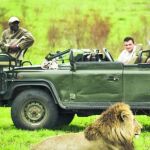 Suráfrica: naturaleza salvaje a la Galicia africana