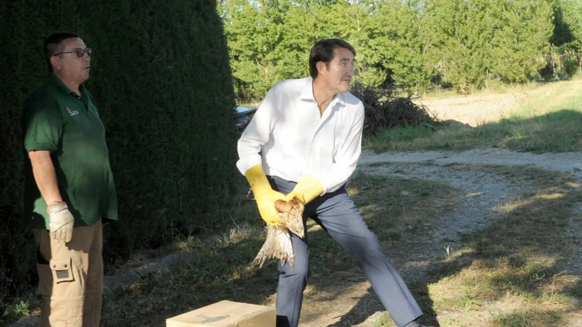 El consejero de Fomento y Medio Ambiente, Juan Carlos Suárez-Quiñones durante la suelta de un ave rapaz
