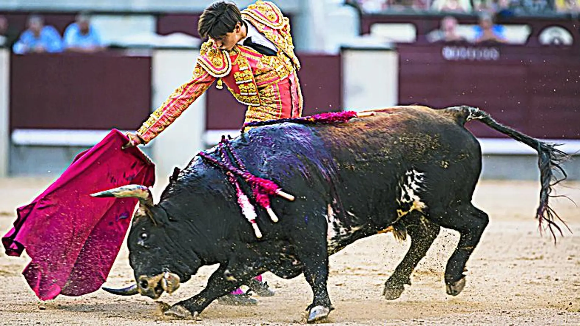 Roca Rey en un derechazo en Las Ventas el pasado San Isidro