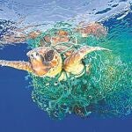 La porquería del mar, protagonista del premio World Press Photo