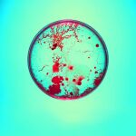 Antibióticos en crisis