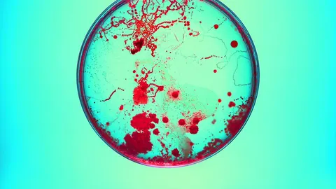 Antibióticos en crisis