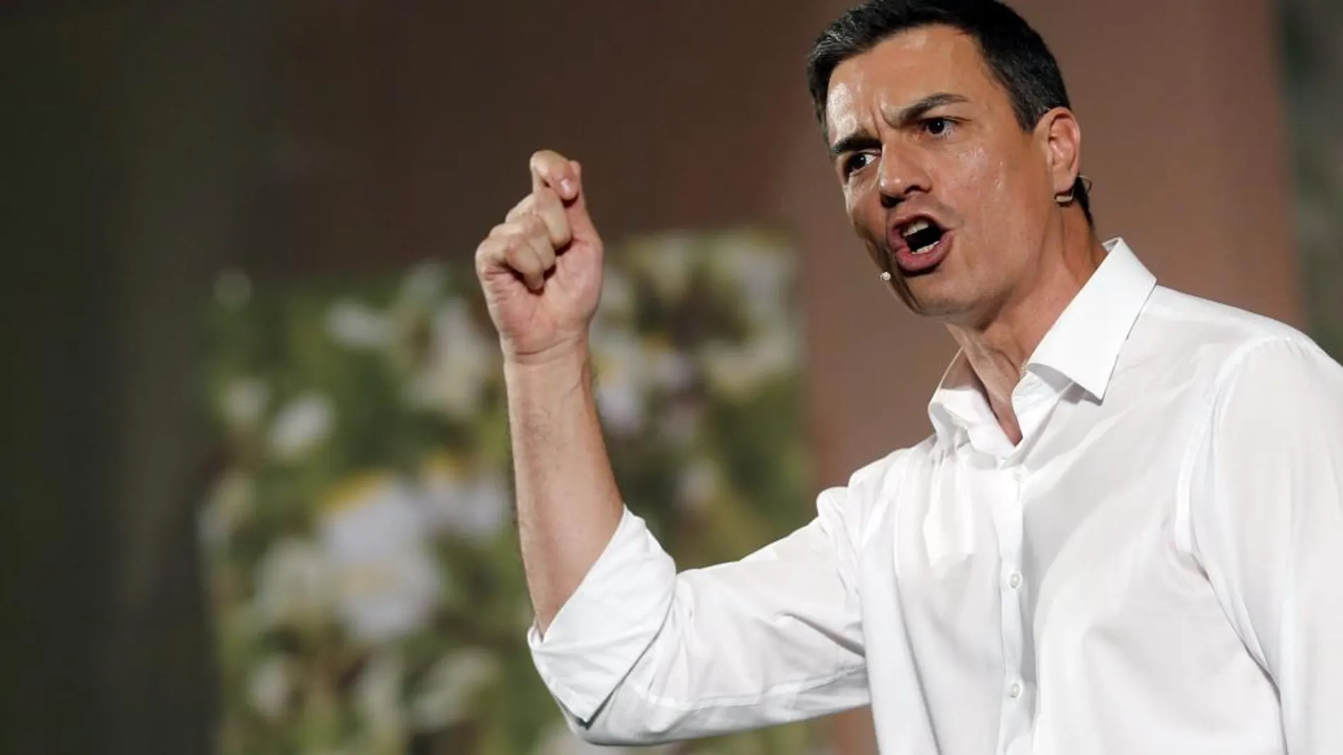 El candidato del PSOE a la Presidencia del Gobierno, Pedro Sánchez