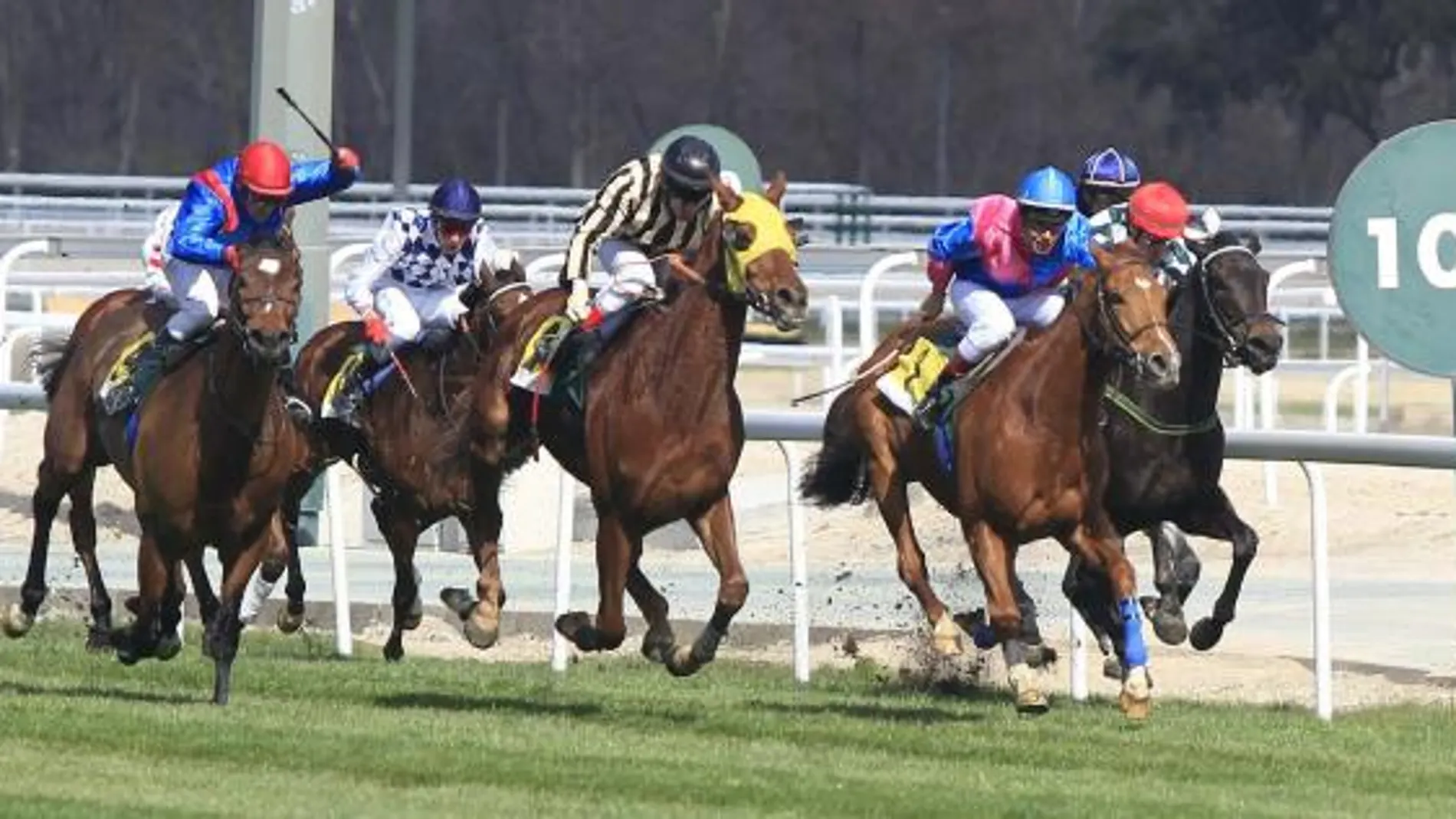Varios jinetes en competición durante una de las seis carreras con las que hoy se ha inaugurado la temporada 2013 del Hipódromo de la Zarzuela.