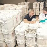 Greg Stemm cuenta las monedas, guardadas en contenedores en Tampa