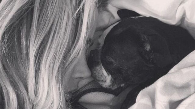 Denise Richards llora la muerte de su perra Nana