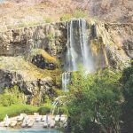 Oasis en el desierto