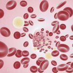 La sangre toma su color de los glóbulos rojos, pero tambien incluye otros cuerpos diferentes.