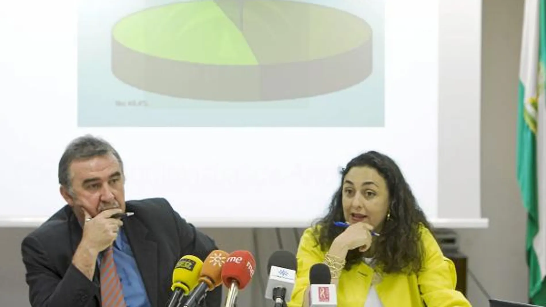 Una consejera del PSOE formó parte del Consejo del Flamenco ilícitamente