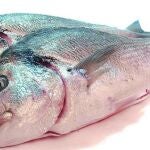 Biodiésel de vísceras de pescado